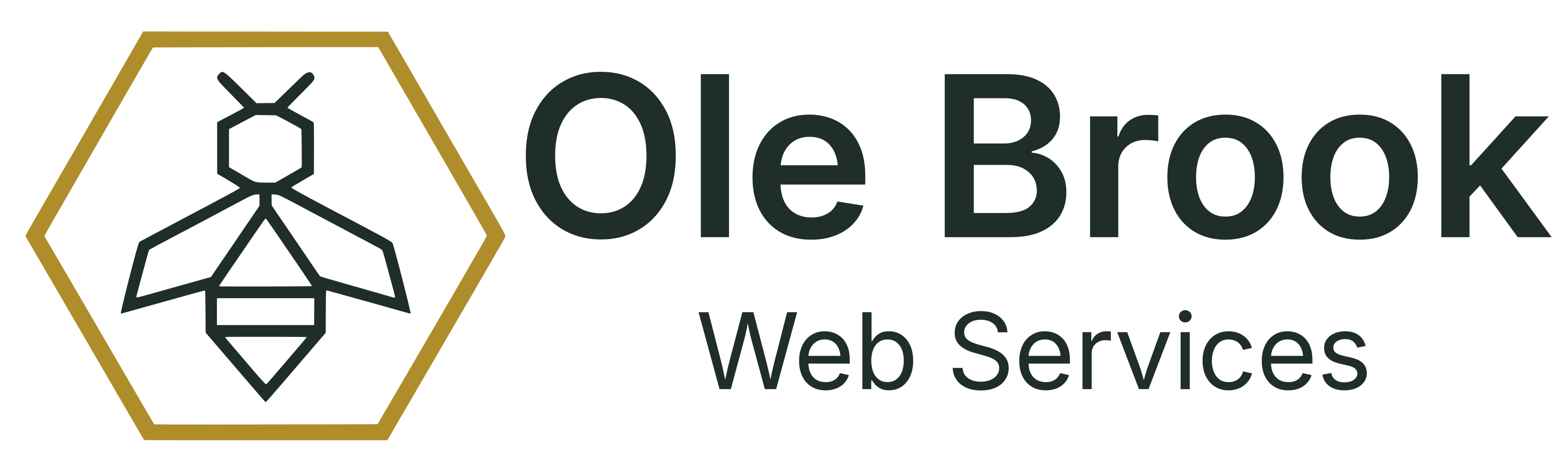 Ole Brook Web Services